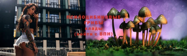 а пвп мука Гусиноозёрск