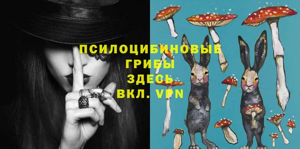 не бодяженный Гусь-Хрустальный