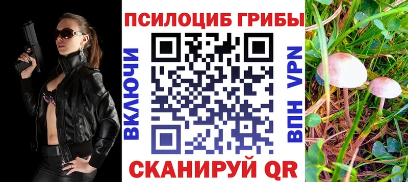 Псилоцибиновые грибы Psilocybe  Купить  Туринск 
