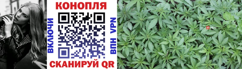 Каннабис сатива  Купить  Туринск 